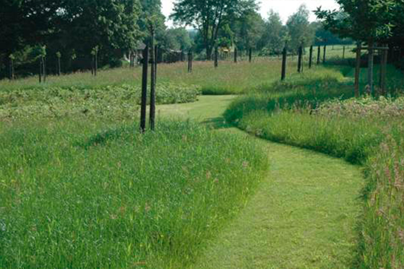 Prairie Jardins de la Balbrière